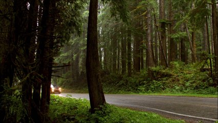 Honda Ridgeline Clarksville TN | Honda Dealership Clarksville TN