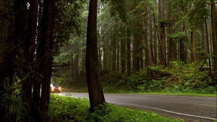 Honda Ridgeline Madison TN | Honda Dealership Madison TN