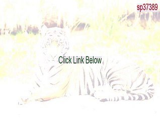 sp37389.exe Free Download - Download Now [2015]