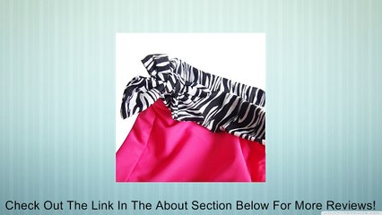 Girls Ruffle Neckline Zebra Print Tankini Winter Holiday Bathing Suit Review