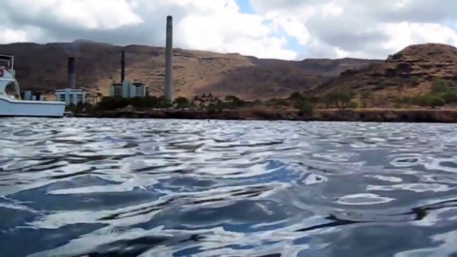 AllToyCollector swimming with Dolphins Ocean Snorkel Hawaii Frozen Toby Spinner Dolphin Video