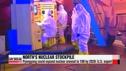 N. Korea could have 100 nuclear weapons by 2020: U.S. expert