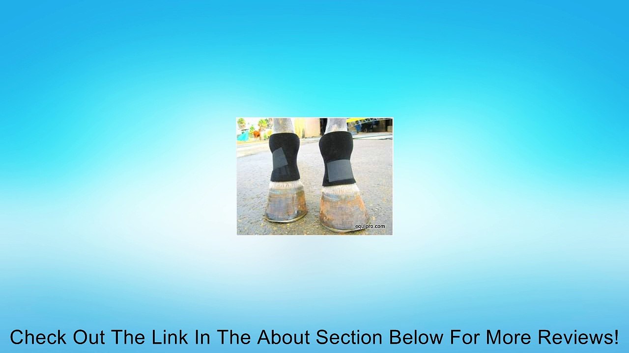 Horse Bed Sore Boots Review