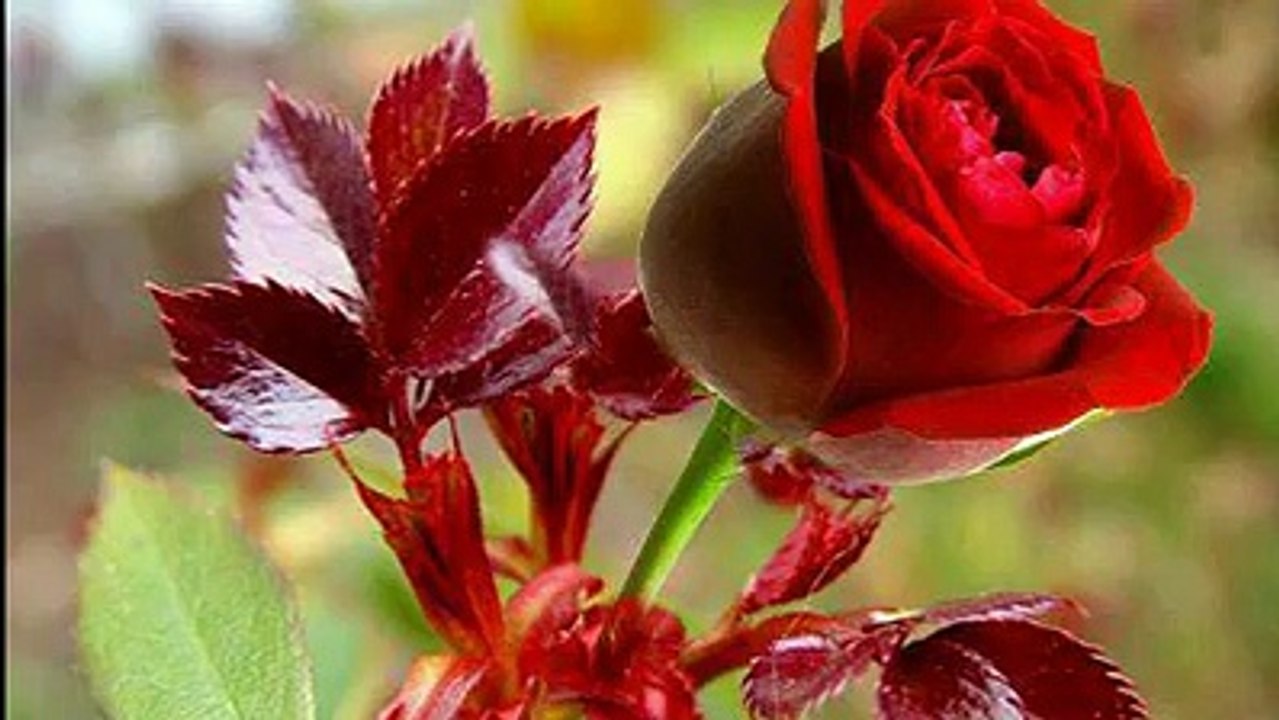 for all