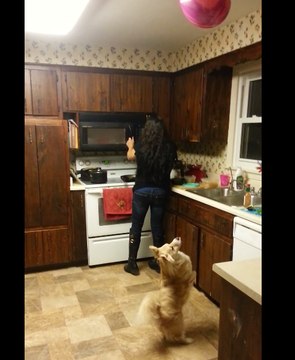 Dexter the Dog Is Baffled by a Balloon