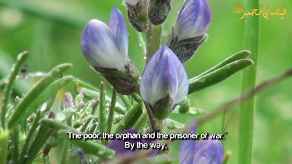 Fatima Bint Muhammad  S W A