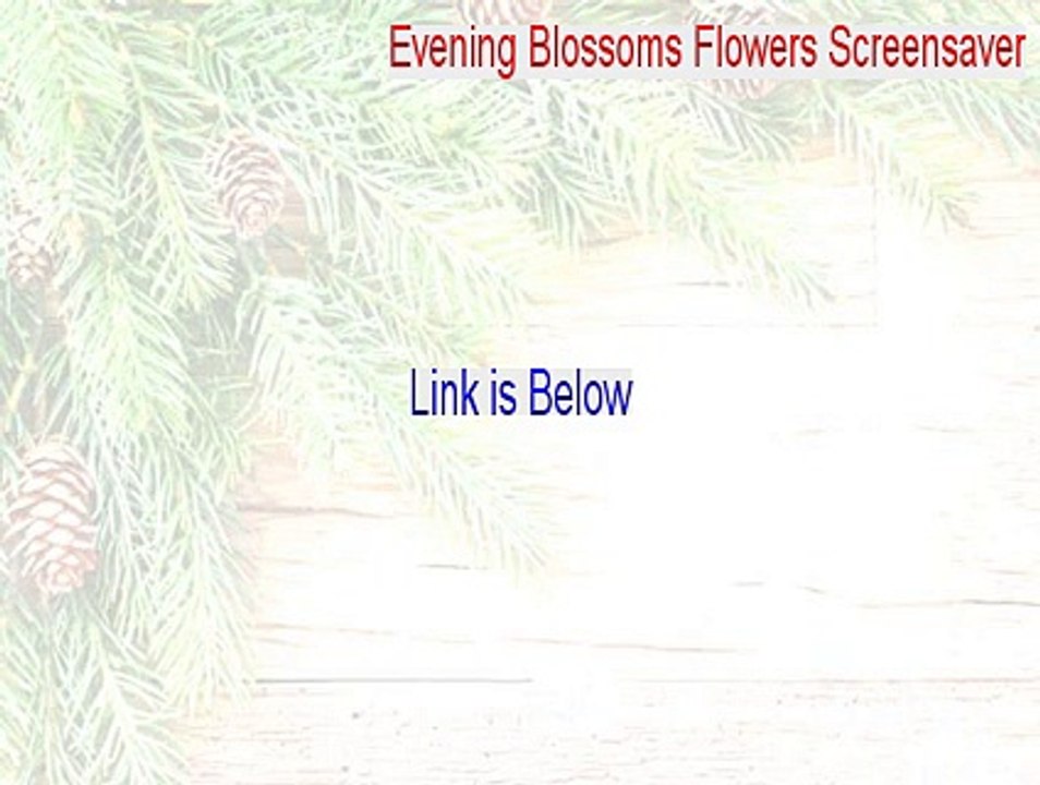 Evening Blossoms Flowers Screensaver Serial [Evening Blossoms Flowers Screensaver 2015]