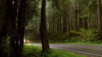 Honda Ridgeline Franklin TN | Honda Dealership Franklin TN