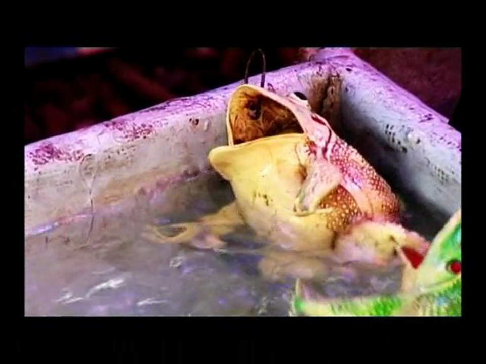 Le Bonheur est en Promo