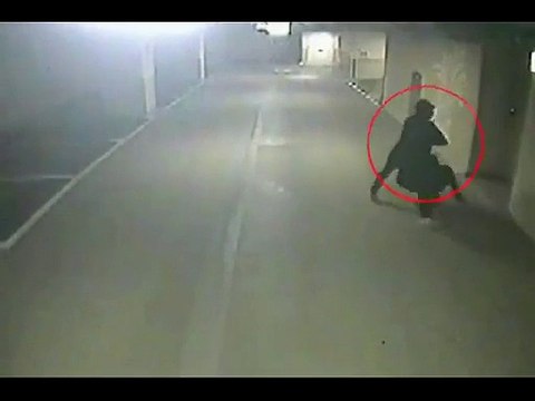 Just Incredible Video – You Have Not Seen Anything Like This Before!