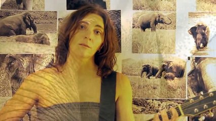 The Elephant Song©HEL