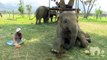 TongJaan lullaby at elephant nature park