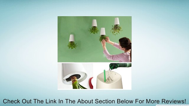 Sky Planter Inverted Sky Garden Hanging Pot, White Review