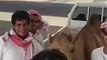 A Camel Having A Laugh With The Arabs