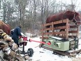 Woodsplitter with horse power