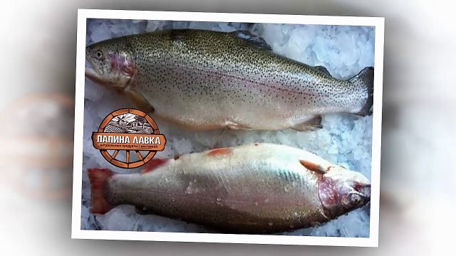 Свежая форель Купить свежую форель в Воронеже
