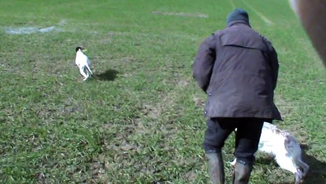 Héra de CAZAOUS à l'entraînement de Printemps 2015 dans le Sud de la France