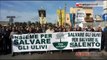 TG 24.02.15 Xylella, 3mila in piazza a Lecce in difesa degli ulivi salentini