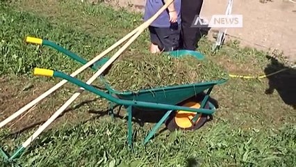 TAGLI AL SOCIALE, DE CARLO IMBUFALITO