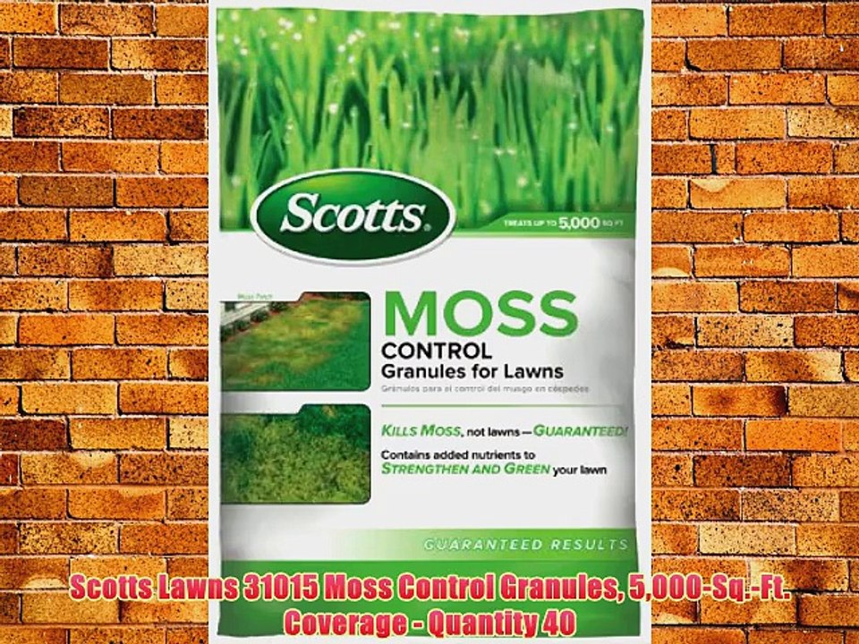 Scotts Lawns 31015 Moss Control Granules 5000Sq.Ft. Coverage Quantity 40 video Dailymotion