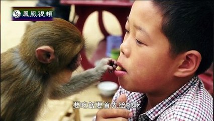 20150223 与梦想同行：色影无忌 马宏杰（上）