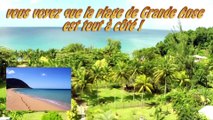 Location vacances Guadeloupe à Deshaies, Résidence Fleurs des iles