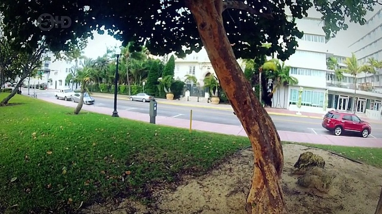 Killing Spree S01E04 ~ The Miami Murders