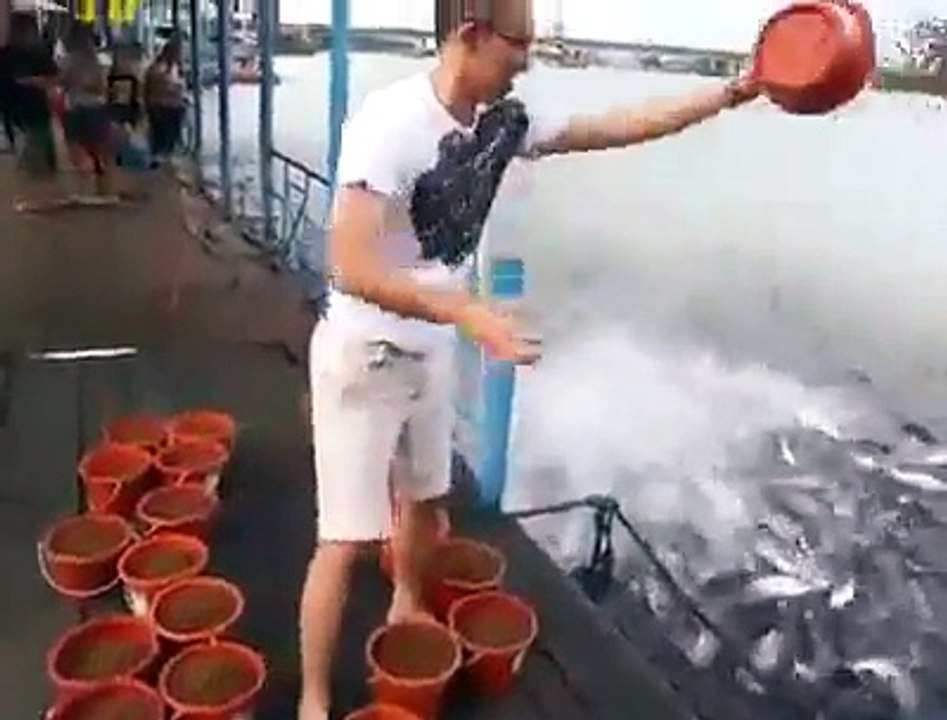 Awesome Video Just Watch & Share