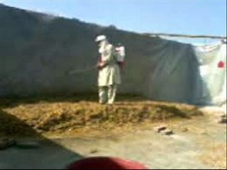 TOORHI (STRAW) MEIN UREA MILANAY KA TAREEQA DR.ASHRAF SAHIBZADA