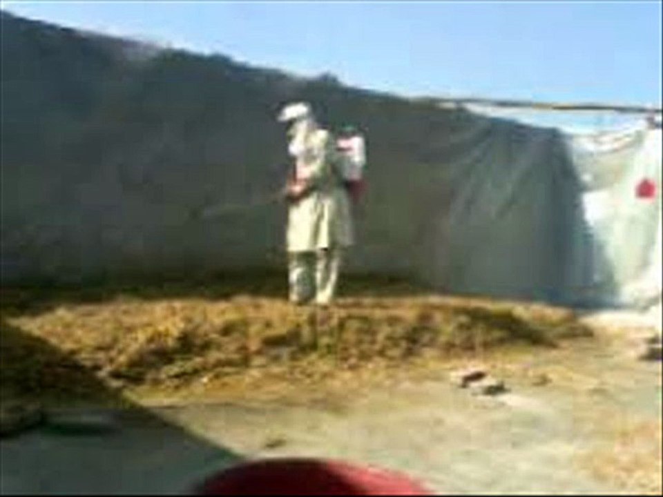 TOORHI (STRAW) MEIN UREA MILANAY KA TAREEQA DR.ASHRAF SAHIBZADA