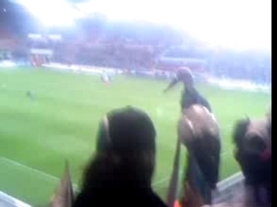 rcs-ajaccio