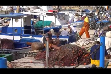 Walk-With-Me (Favigana and Marsala, Sicily, Italy) Burgess