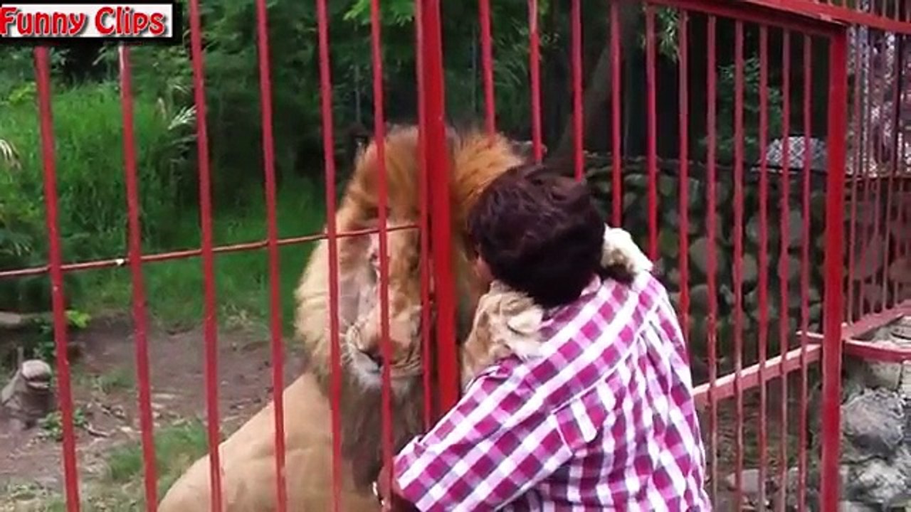 Funny Animals Best