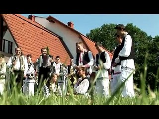 Mihaela Petrovici - Bun gasit cu bine banatenii mei (Official Video) (Low)