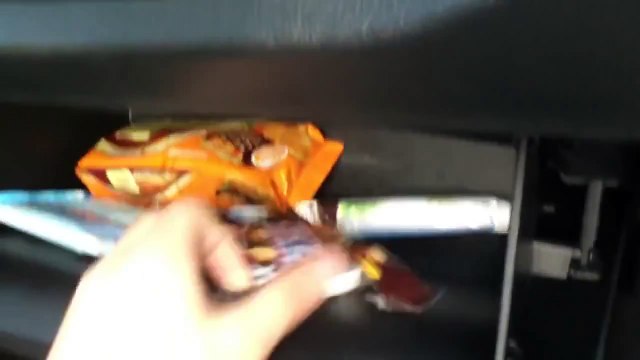 Russian Bear Eating Biscuits