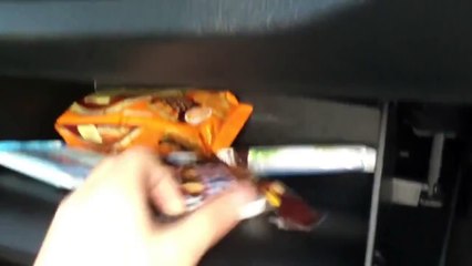 Russian Bear Eating Biscuits