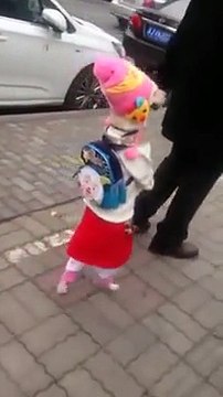 Un chien déguisé en enfant marche sur ses pattes arrières ...