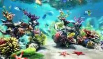 Sim Aquarium 3.8 Build 60 Platinum+Patch Free download