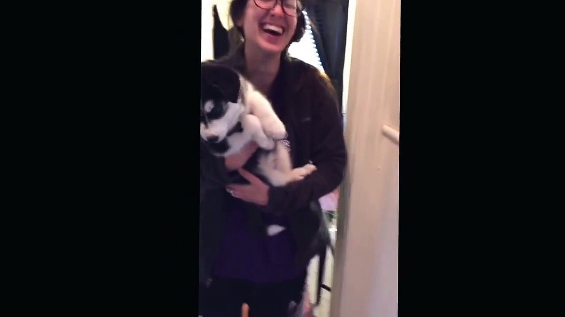 Un Bebe Husky Qui Parle Trop Mignon Video Dailymotion