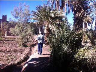 Morocco desert tours