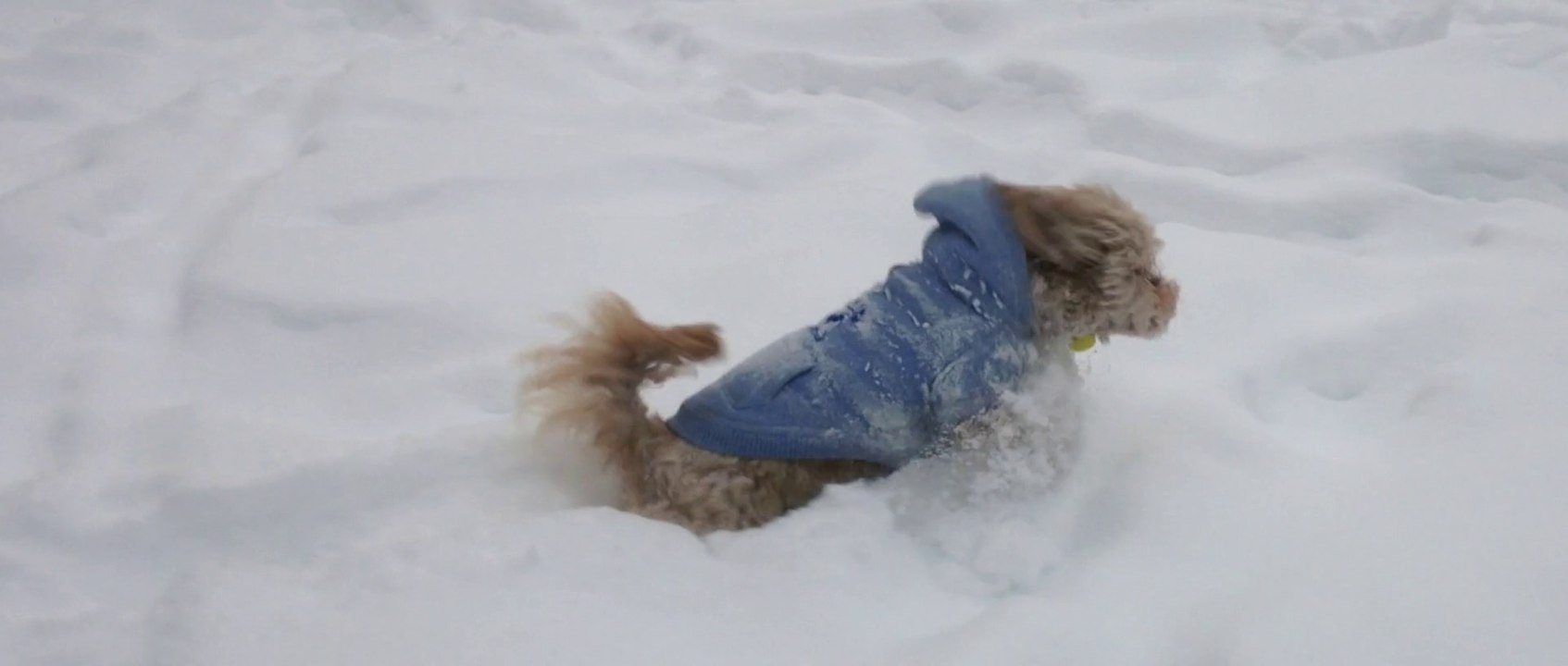 Ze Snow Part Deux