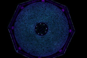 Simple shear on ring experiment, UV light