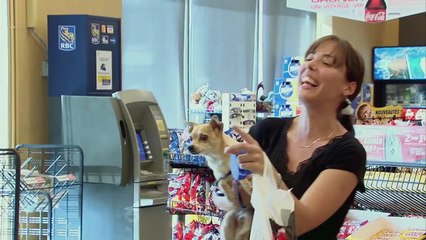 Best of Soccer - Best of Just for Laughs Gags