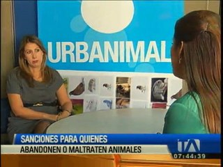 ¿Hay sanciones para quienes abandonan a un animal en la calle?