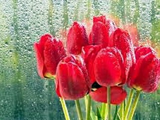 Mainu yaadan teriyan aundiya ne...(Tanhaiii)