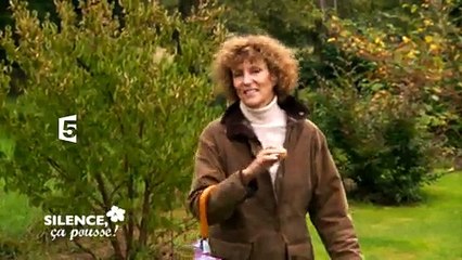 Bande-annonce "Silence ça pousse"
