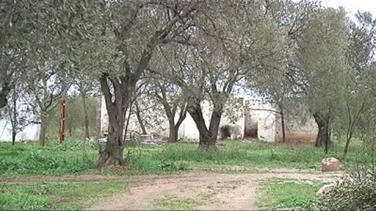 Manisa'daki Yanmış Kadın Cesedi