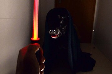 Tải video: Star Wars Fan Creates the Story of Dog Vader