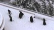 Monks Have Snowball Fight Outside Jerusalem Monastery