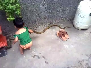 Brave girl play with snake